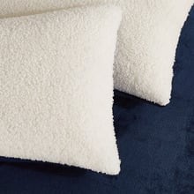 Berryl Teddy Sherpa Velvet European Pillowcases (Set of 2)